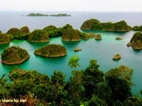 Kabupaten Raja Ampat, Butuh Pasokan Listrik